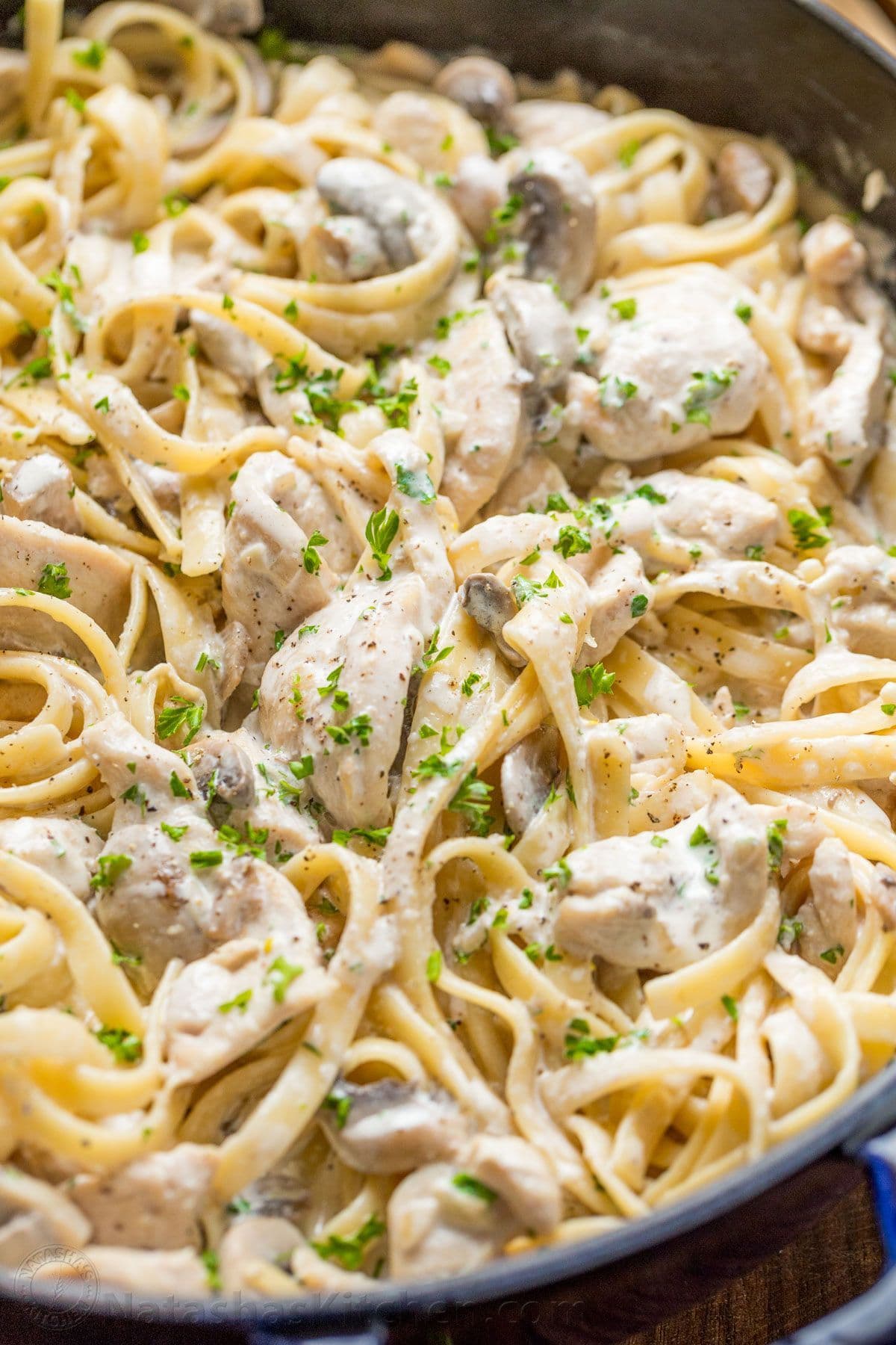 Chicken Alfredo Pasta